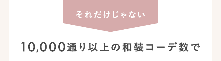 多彩な衣装とロケーションに対応